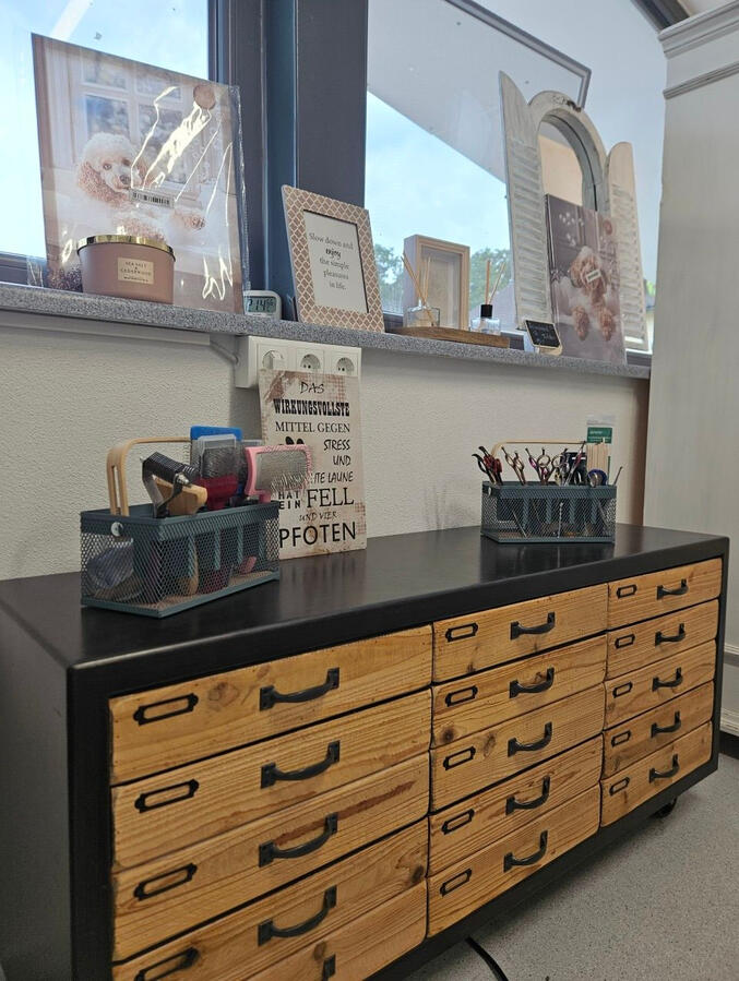 Salon Kommode