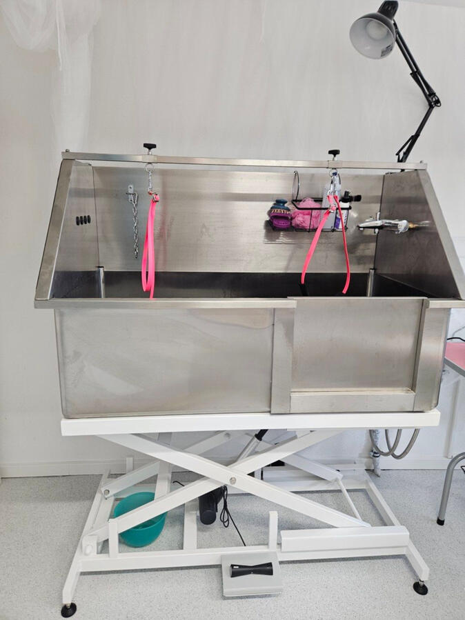 Salon Becken Salon Becken