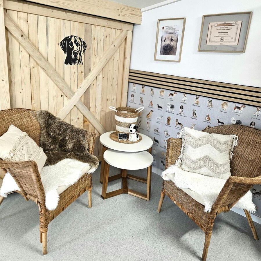 Salon Sessel Salon Sessel